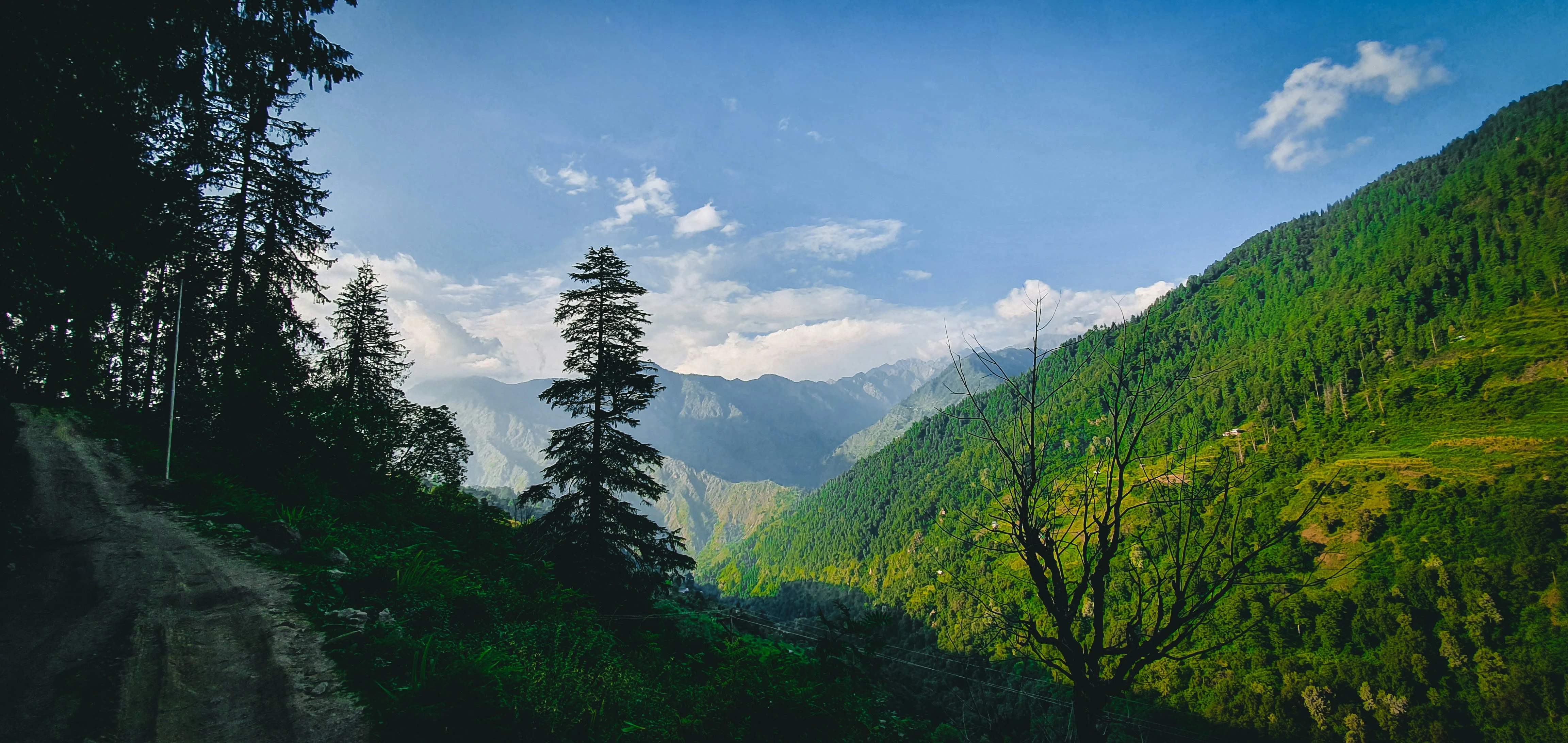 Himachal Trip Yatra